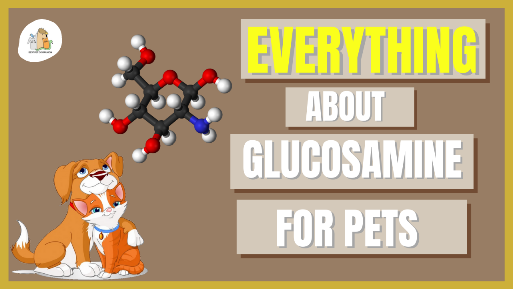 Everything about Glucosamine for pets