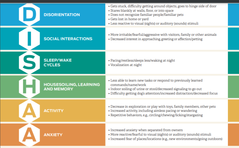 DISHAA Evaluation Tool